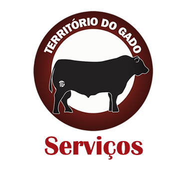 Serviços