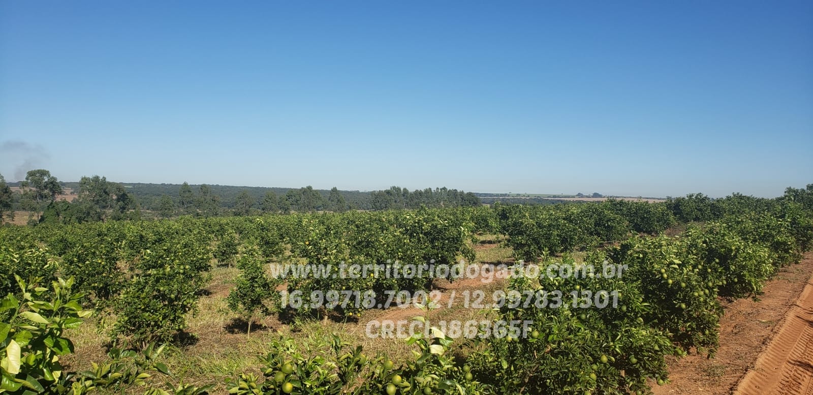 Fazenda à venda na região de Araraquara – SP