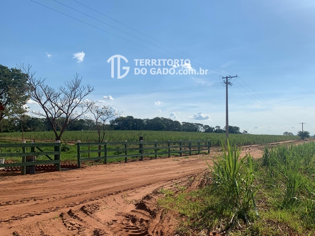 Sítio à venda em Boa Esperança do Sul – SP