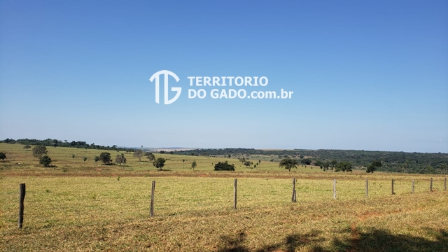Fazenda à venda em Pirajuí – SP